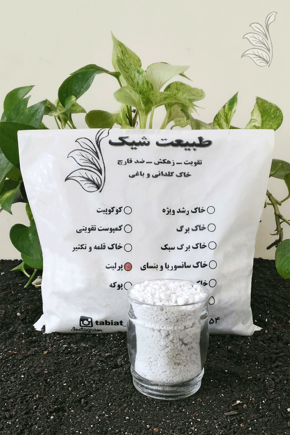 "بسته پرلیت طبیعت شیک با گیاه پتوس و نمایش بافت پرلیت در ظرف شیشه‌ای"