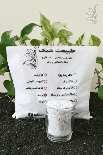 "بسته پرلیت طبیعت شیک با گیاه پتوس و نمایش بافت پرلیت در ظرف شیشهای"